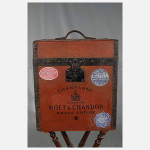 Seltener Koffer Louis Vuitton