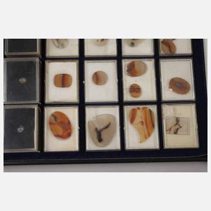 Sammlung Dendritenachate und Mondsteine