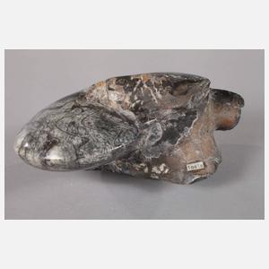 Angeschliffener Ammonit