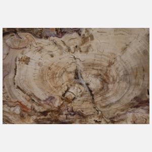 Versteinertes Holz