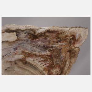 Versteinertes Holz