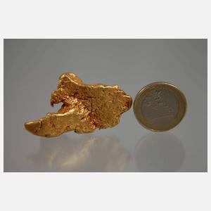 Großes Gold-Nugget