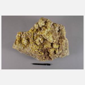 Große Schwefelstufe