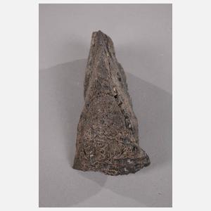 Kristallisiertes Silber