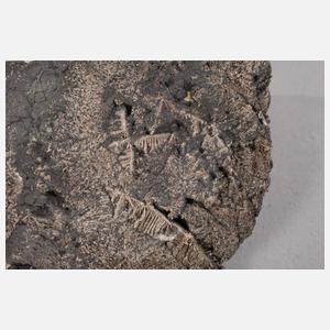 Kristallisiertes Silber