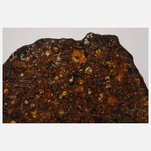 Meteorit Brahin Pallasit