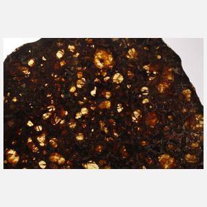 Meteorit Brahin Pallasit