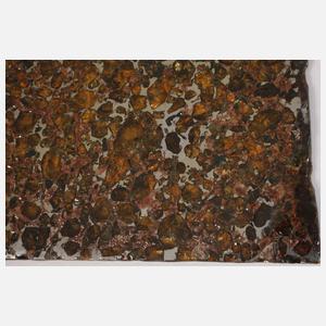 Meteorit Brahin Pallasit