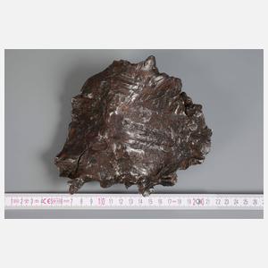 Meteorit Shikote-Alin