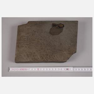 Meteorit Muonionalusta/Schweden