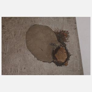 Meteorit Muonionalusta/Schweden