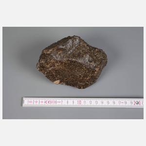 Steinmeteorit NWA 1499/Sahara