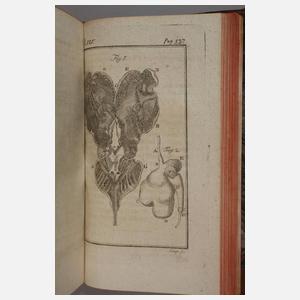 Katechismus der Schaafzucht 1784