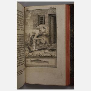 Katechismus der Schaafzucht 1784