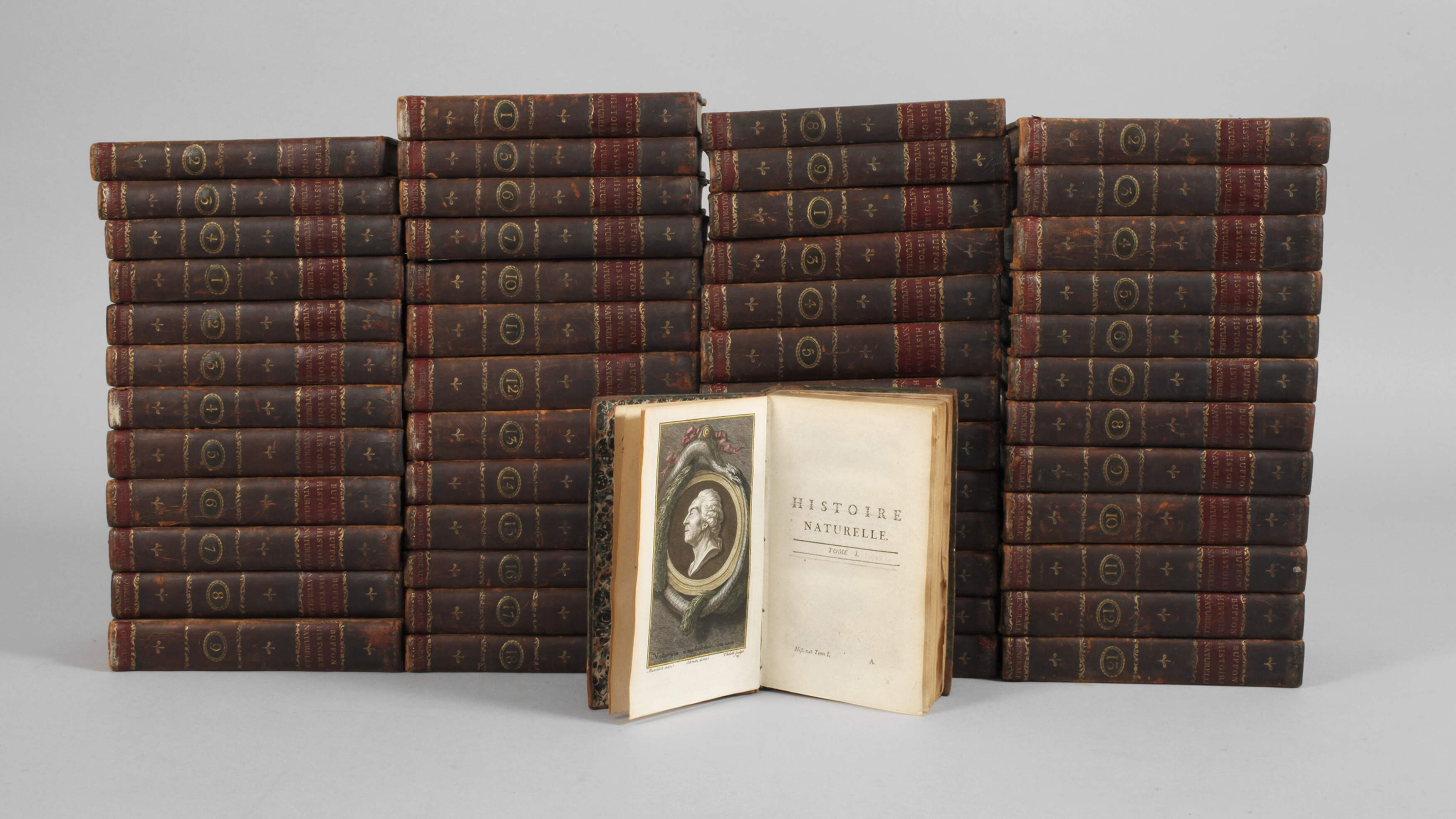 Buffon, Histoire Naturelle