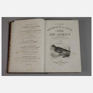 Merveilles de la Nature