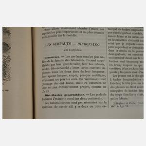 Merveilles de la Nature