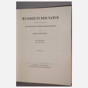 Wunder in der Natur