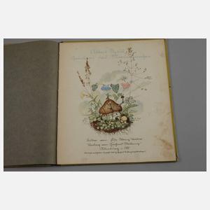 Konvolut Kinderbücher