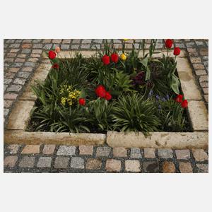 Beeteinfassung Sandstein