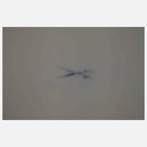 Meissen Speiseteller Fruchtzweigmalerei