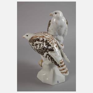 Meissen "Edelfalken auf Felsen"