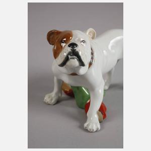 Meissen "Bulldogge mit Harlekin"