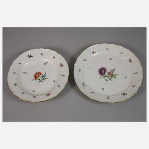 KPM Berlin Speise-Restservice Blumen und Insekten