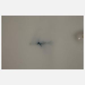 KPM Paar große Servierplatten Blumen und Insekten