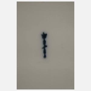 KPM Paar große Servierplatten Blumen und Insekten