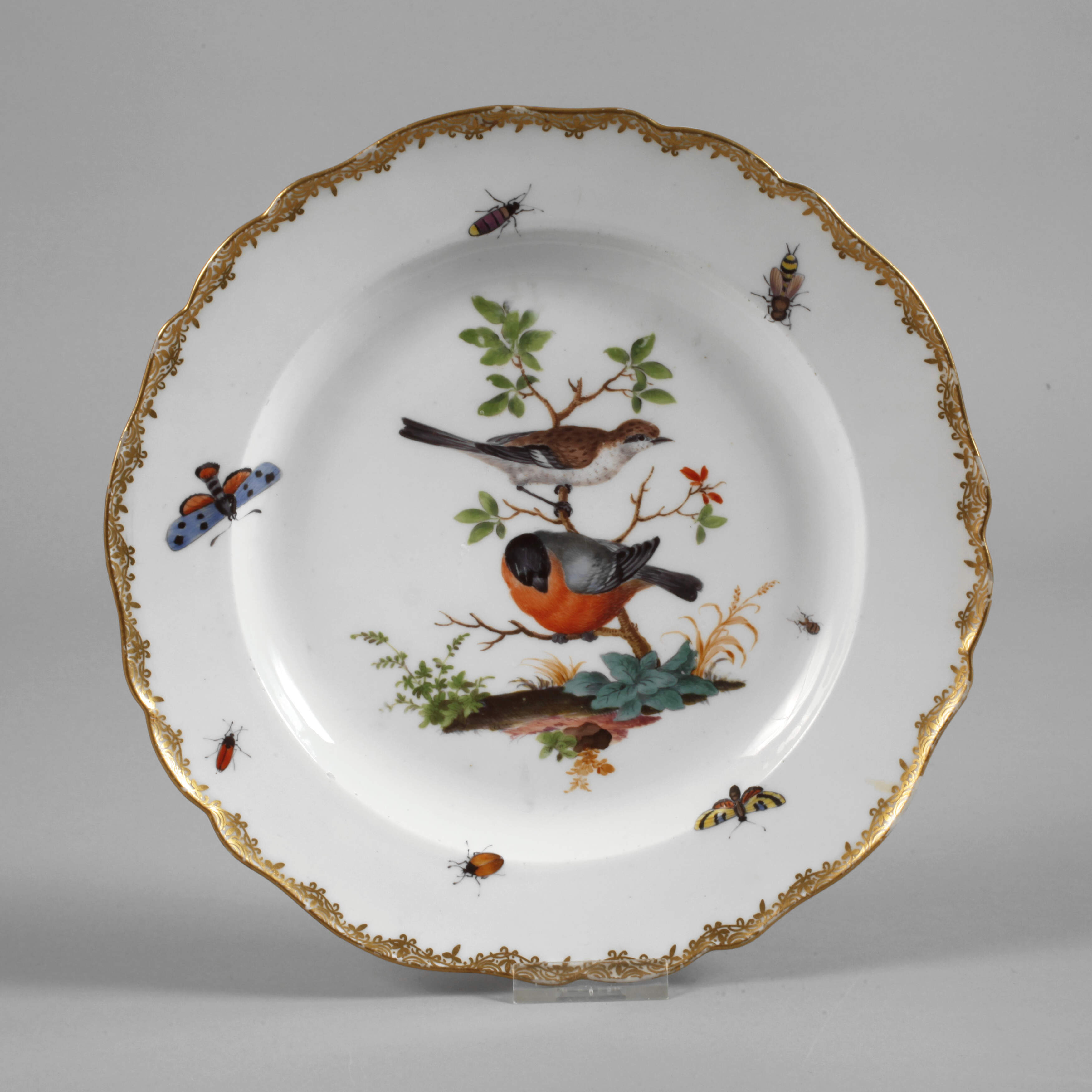 Meissen Zierteller Vogelmalerei