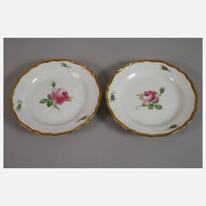 Meissen Konvolut Tassen mit Schwanenhalshenkel