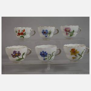 Meissen umfangreiches Kaffeeservice "Blume 1"