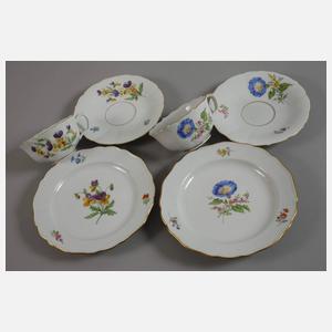 Meissen Konvolut Blumenmalerei