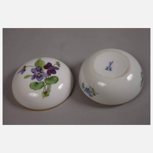 Meissen Konvolut Blumenmalerei