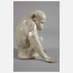 Heubach Lichte Schimpanse