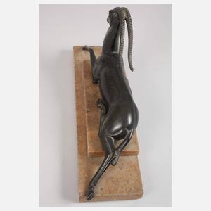 Pierre le Faguays, Antilope