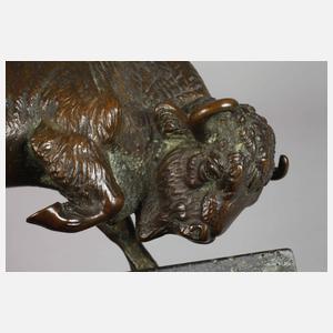 Angreifender Bison