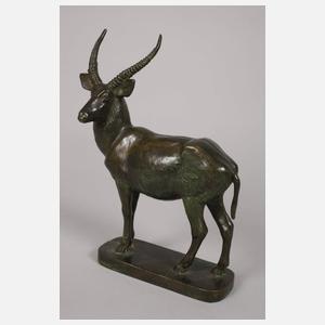 Rudolf Struck, vier Tiere