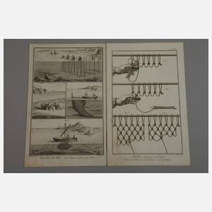 Konvolut aus "Peches de Mer"