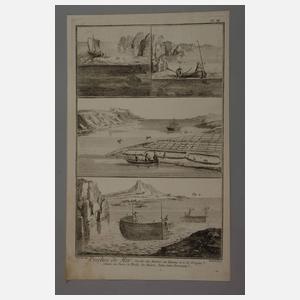 Konvolut aus "Peches de Mer"