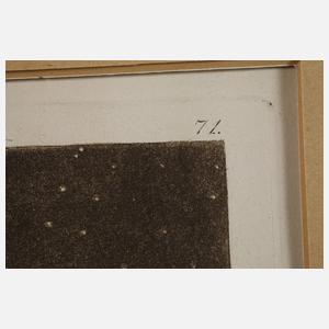 Francisco de Goya, "Si amanece, nos vamos"