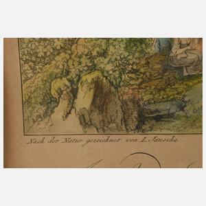 Johann Ziegler, Ansicht von Bonn