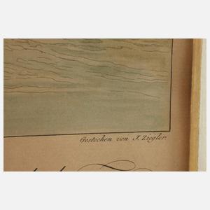 Johann Ziegler, Ansicht von Bonn