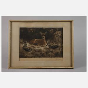 Curt Meyer-Eberhardt, Ricke mit Kitzen