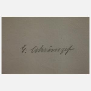 Georg Schrimpf, zu "Van Zantens glückliche Zeit"