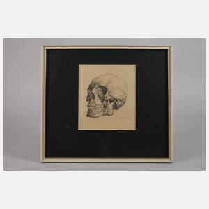 J. Selle, Totenschädel