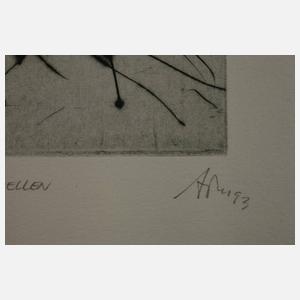 Alfred Traugott Mörstedt, "Äquatorparzellen"