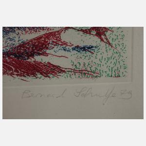 Bernard Schultze, "Migof-Derwisch"