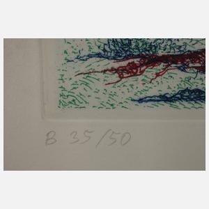 Bernard Schultze, "Migof-Derwisch"